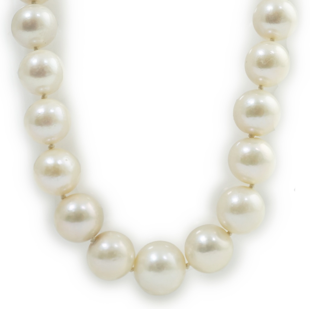 A single strand graduated South Sea pearl necklace, with platinum clasp